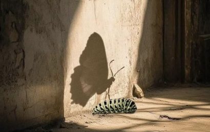 چطور احساس ناکافی بودن را از بین ببریم؟